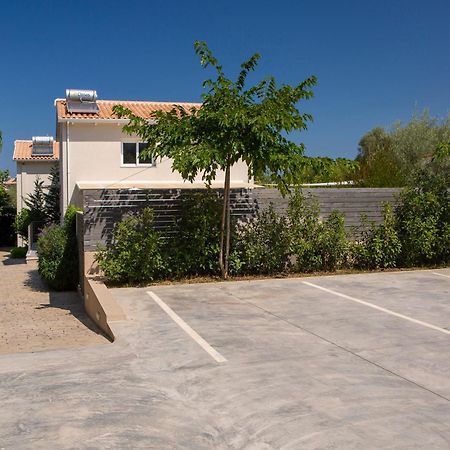 Grappolo Lefkada Villas - Vilana ideal for families&small groups Apolpaina Exterior foto