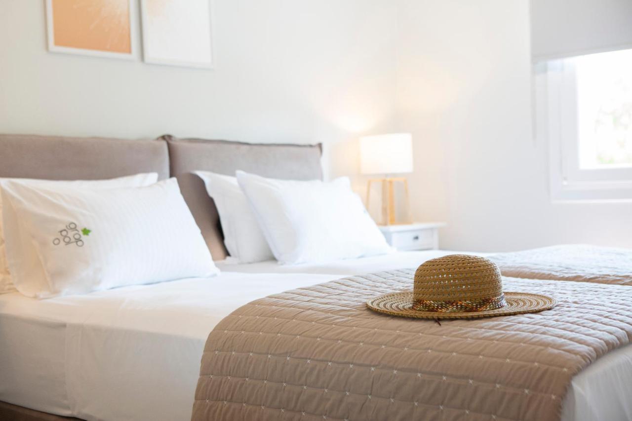 Grappolo Lefkada Villas - Vilana ideal for families&small groups Apolpaina Exterior foto